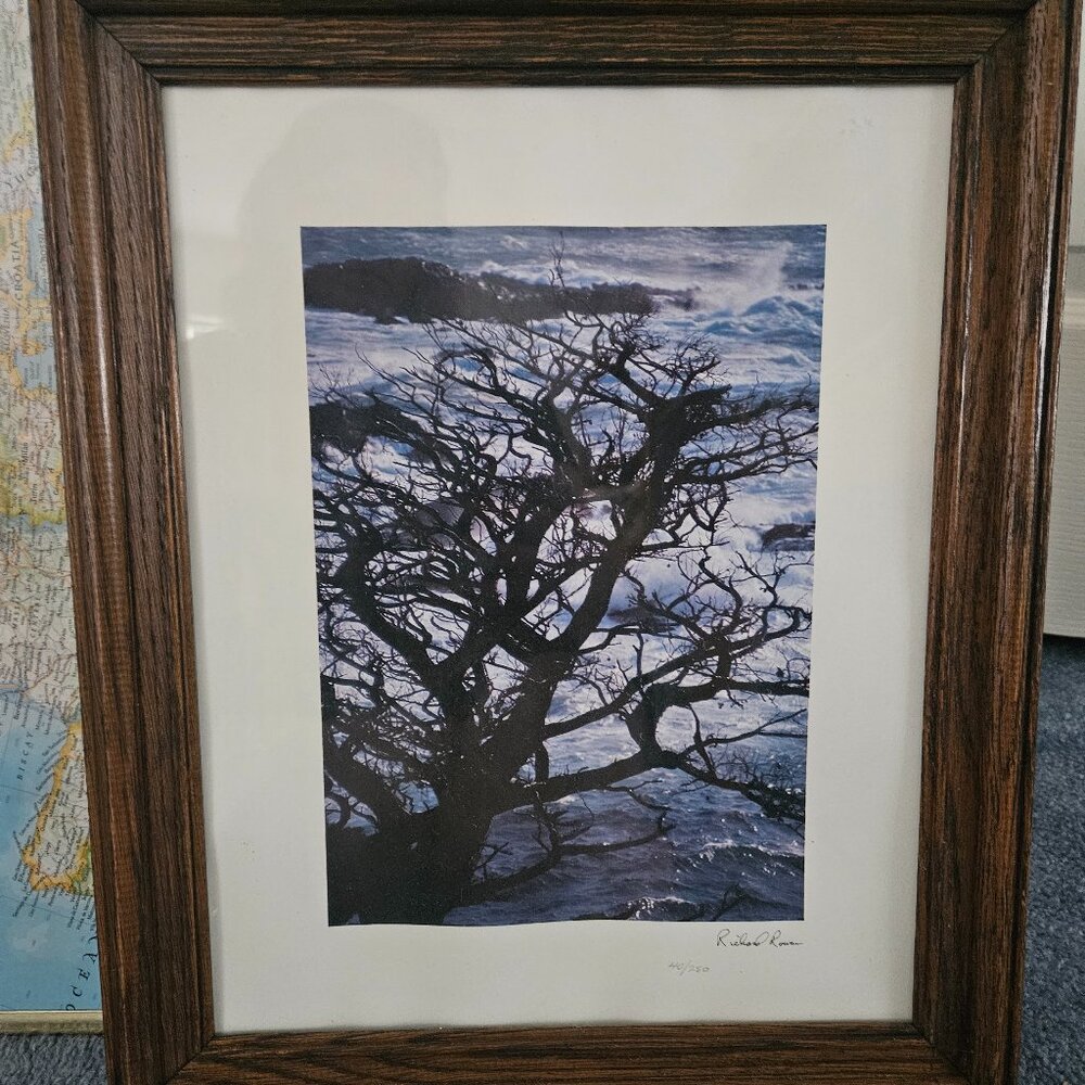 Beautiful Original Richard Rowen 40/250 Signed Print